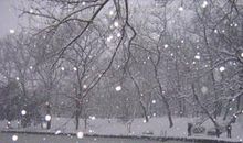 怀念下雪的日子