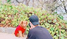 重拾情感的行囊