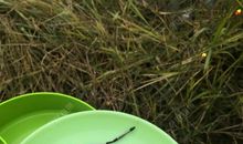 从哪里跌倒就从哪里站起来