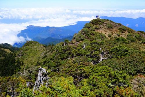 沉默的山