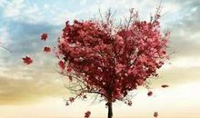 我心中有一道永远的风景