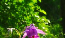 洒在春雨里的回忆