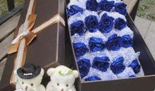 春风夏夜，秋实冬雪