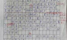 记一次主题队会作文