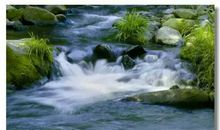 如诗如画的四季