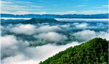 踏青之后的感想