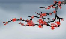 慢生活，慢人生