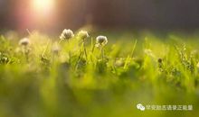 生命因勇气而灿烂