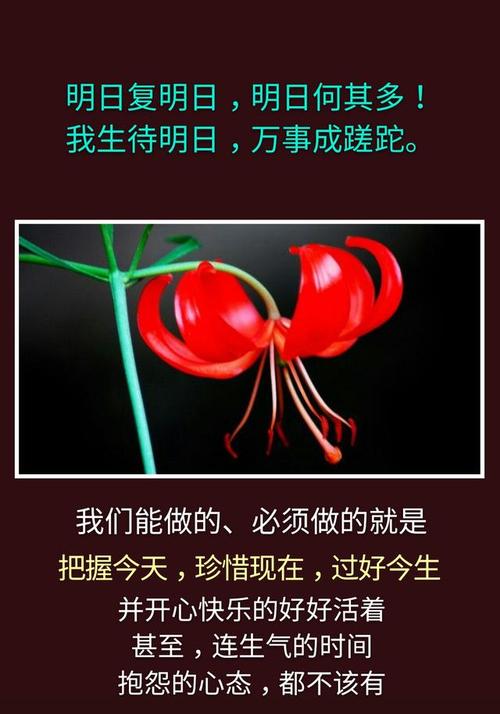 我今天需要掌握。