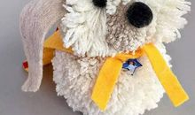 小狗——小绒球