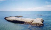 人生需要退一步