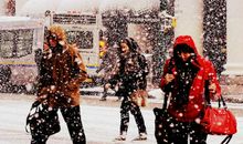 温哥华街头的画