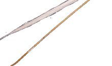 二胡“敲打”我成长