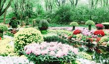 校园中的那一抹绿