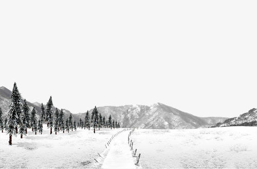 白雪