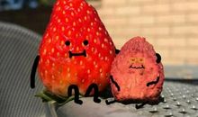 生活在给予中美丽