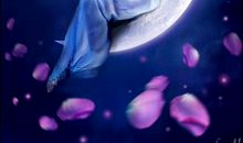 乘好习惯的翅膀飞翔