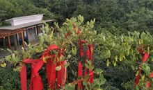 难忘的韶山之行