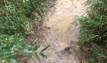 走泥泞路的感受