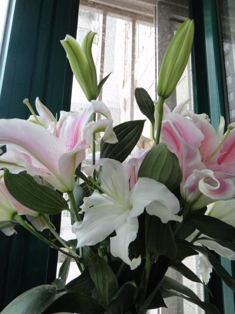 百合花在记忆中