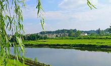 那些流走的清水