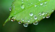 滴水之恩以何报