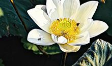 紧握韶光不枉年华