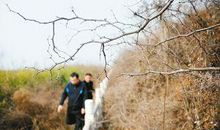 布满荆棘的青春路