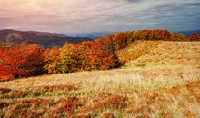 当秋天来临的时候