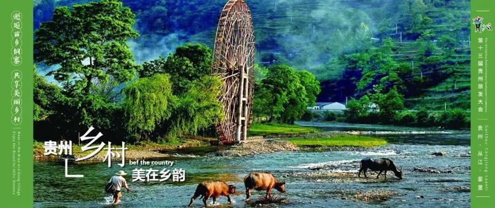 它在哪里？