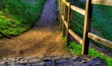 善于发现生活的美