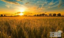 以执著召唤梦想