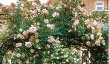 等待四季亲近自然