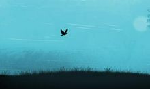 修得一颗理性之心