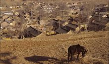 记住历史才会自强不息