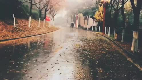 倾听雨的声音