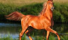 请解开我的心结