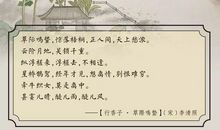 给李清照的一封信