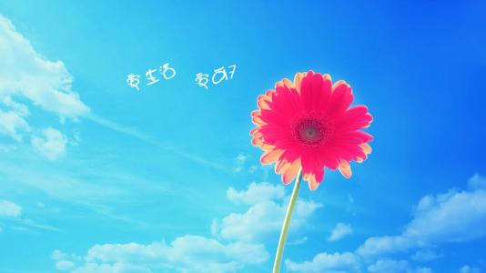 生活给了我