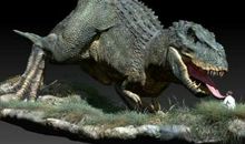 盲从真的要不得