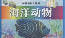 青春如雨后般绚彩