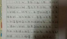 感动我们的故事作文