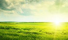 蓝天白云下的秘密