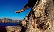 正确面对细节的取舍