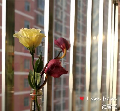 心脏已经经历了四季