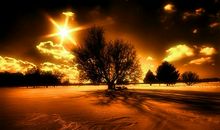 通向彼此的心灵