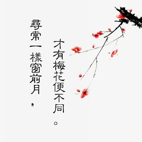 美丽的