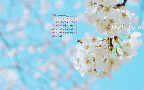 纯花