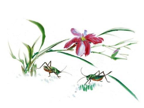 心脏有兰花快乐