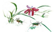 心有兰花快乐永伴